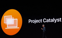 SwiftUI和CatalystApple执行其隐形过渡策略