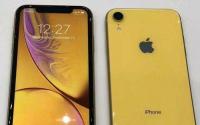 苹果的iPhoneXR在本季度就为苹果的销售贡献了25%以上