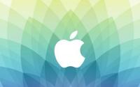 乔布斯和沃兹尼亚克在10个月内生产了大约200台Apple