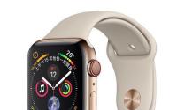 AppleWatchSeries4已经引入了智能跌倒检测功能