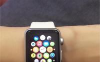 我意识到具有LTE连接的AppleWatch最终将成为完美的儿童手机