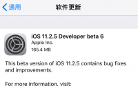 早期的iOS11.2.5beta测试版引入了一项新功能
