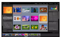 Adobe上周发布了许多Lightroom更新