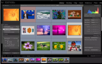 Adobe测试删除10美元的LightroomPhotoshop计划