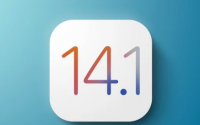 苹果的发布说明iOS14.1引入了一些错误修复