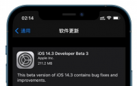 苹果面向开发者发布了iOS14.3与iPadOS14.3的第三个测试版本
