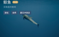 都市人的助眠神器