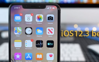 苹果面向开发者推送了iOS12.3beta2更新