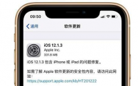 iOS12.1.3正式版发布修复双SIM卡网络连接问题