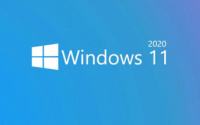 不过Windows11的第一个版本不会是LTSC版本
