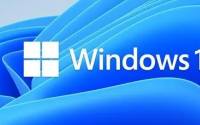 至于此特定Windows11预览版中的新功能主要是UX调整