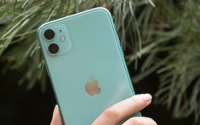iPhone11系列新升级了夜间模式而此次的苹果摄影大赛