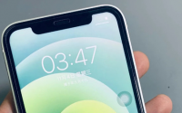 iPhone11和iPhone12的屏幕尺寸均为6.1英寸