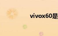 vivox60是塑料机身吗