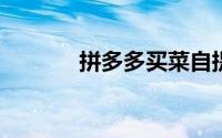 拼多多买菜自提门店怎样提成