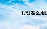 钉钉怎么用班级号加班级