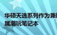 华硕天选系列作为兼顾游戏和娱乐的二次元专属潮玩笔记本
