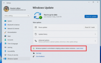 微软正试图通过Windows更新降低碳排放量