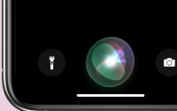即使在选择退出后iOS15错误也会共享一小部分Siri录音