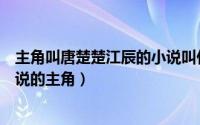 主角叫唐楚楚江辰的小说叫什么名字（唐楚楚江辰是哪本小说的主角）