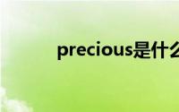 precious是什么意思（怎么读）