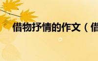 借物抒情的作文（借物抒情的作文范文）
