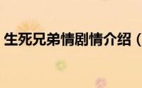 生死兄弟情剧情介绍（生死兄弟情剧情简介）