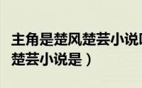 主角是楚风楚芸小说叫什么名字（主角是楚风楚芸小说是）