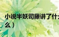 小说半妖司藤讲了什么（司藤小说主要讲了什么）