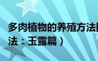 多肉植物的养殖方法图解（多肉植物的养殖方法：玉露篇）