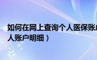 如何在网上查询个人医保账户（如何通过网络查询医保卡个人账户明细）