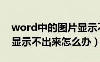 word中的图片显示不出来（word中的图片显示不出来怎么办）