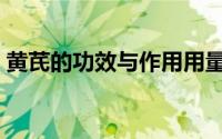 黄芪的功效与作用用量（黄芪的功效与作用）