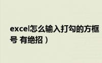 excel怎么输入打勾的方框（Excel 中输入方框内打勾的符号 有绝招）