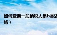 如何查询一般纳税人是b类还是a类（如何查询一般纳税人资格）