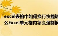 excel表格中如何换行快捷键（Excel表格换行的快捷键是什么Excel单元格内怎么强制换行）