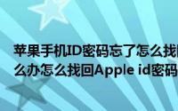 苹果手机ID密码忘了怎么找回密码（苹果手机id密码忘了怎么办怎么找回Apple id密码）