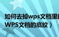 如何去掉wps文档里的红色波浪线（如何去掉WPS文档的底纹）