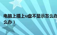 电脑上插上u盘不显示怎么办（电脑上不显示所插入的U盘怎么办）