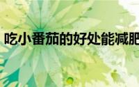 吃小番茄的好处能减肥吗（吃小番茄的好处）
