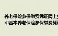 养老保险参保缴费凭证网上打印流程（社保转移如何查看打印基本养老保险参保缴费凭证）