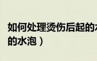 如何处理烫伤后起的水泡（如何处理烫伤后起的水泡）