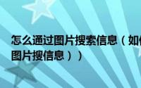 怎么通过图片搜索信息（如何使用图片进行信息的搜索（用图片搜信息））