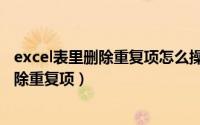 excel表里删除重复项怎么操作（Excel表格中怎样标记和删除重复项）