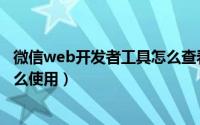 微信web开发者工具怎么查看页面（微信web开发者工具怎么使用）