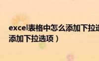excel表格中怎么添加下拉选项（怎样在EXCEL中给单元格添加下拉选项）