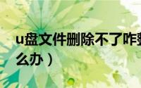 u盘文件删除不了咋整（U盘文件删除不了怎么办）