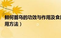 鲜何首乌的功效与作用及食用方法（首乌的功效与作用及食用方法）