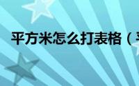 平方米怎么打表格（平方米怎么打出来呢）