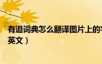 有道词典怎么翻译图片上的字（有道词典怎么翻译图片上的英文）